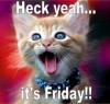 fridaycat